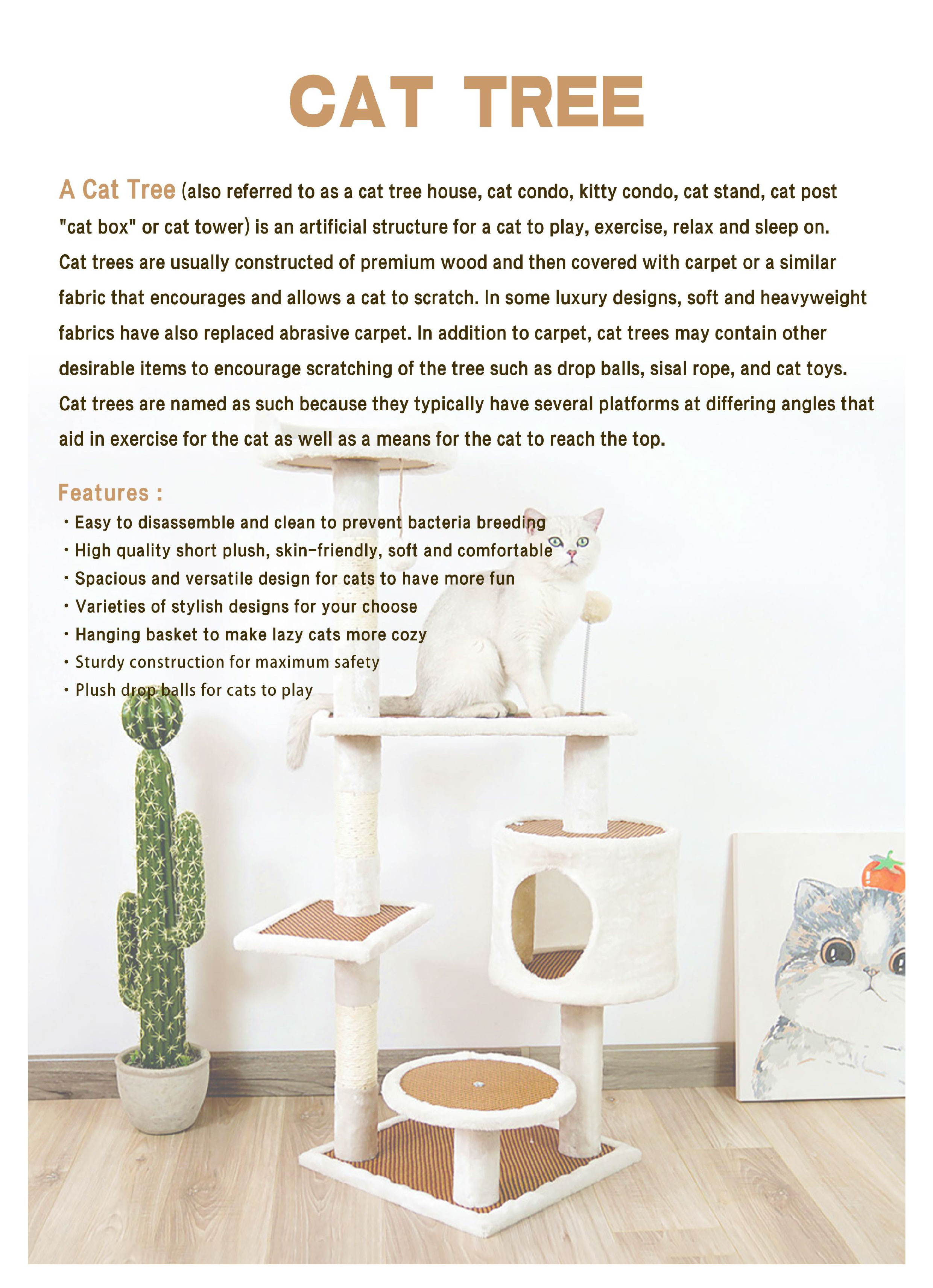 image025(001) image025(001)